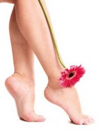 �������������� � ������ �� �������, ������ �� ��������� ��������� ���� �� ������� ��������